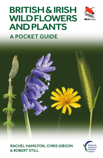 British and Irish Wild Flowers and Plants : A Pocket Guide-9780691245409