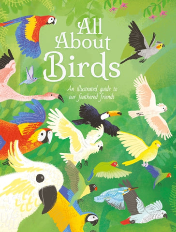 All About Birds : An Illustrated Guide to Our Feathered Friends-9781398811164