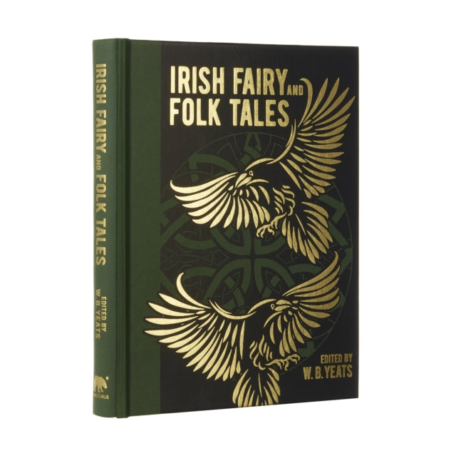 Irish Fairy and Folk Tales-9781398819269