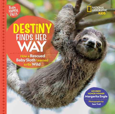 Destiny Finds Her Way-9781426372346