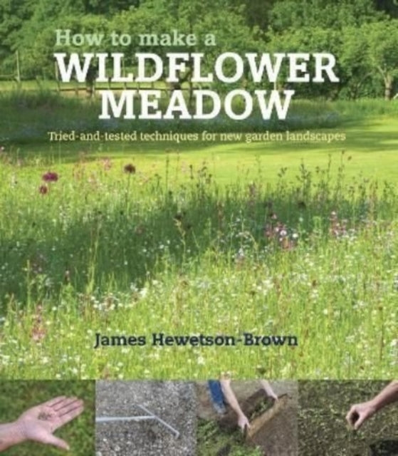 How to make a wildflower meadow : Tried-And-Tested Techniques for New Garden Landscapes-9781739903916