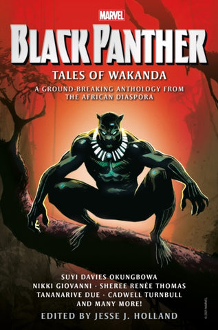 Black Panther: Tales of Wakanda-9781789095685