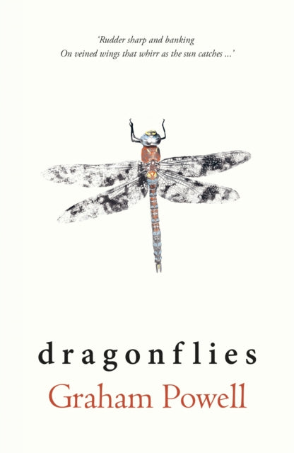 Dragonflies-9781915067531
