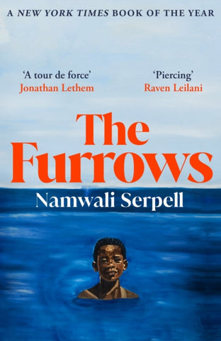 The Furrows : From the Prize-winning author of The Old Drift