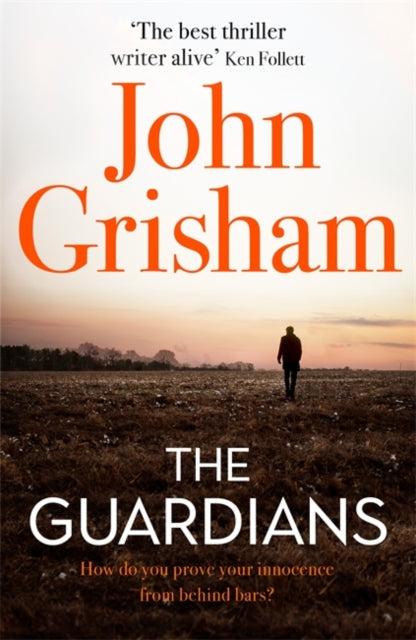 The Guardians : The Sunday Times Bestseller-9781473684478