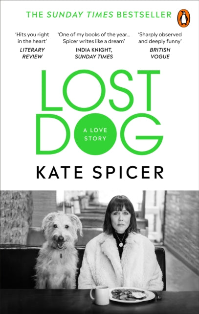 Lost Dog : A Love Story-9781785039201