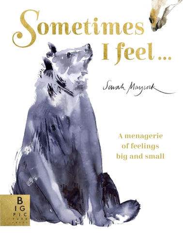 Sometimes I Feel... : A Menagerie of Feelings Big and Small-9781787417267