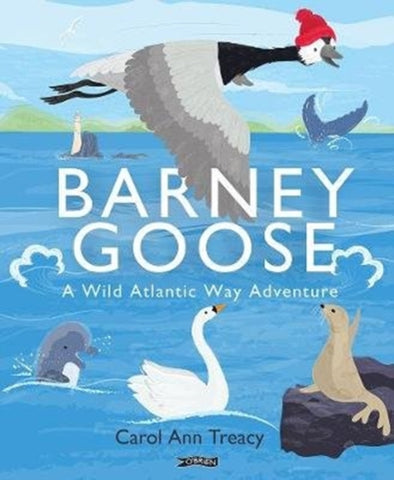 Barney Goose : A Wild Atlantic Way Adventure-9781788491426