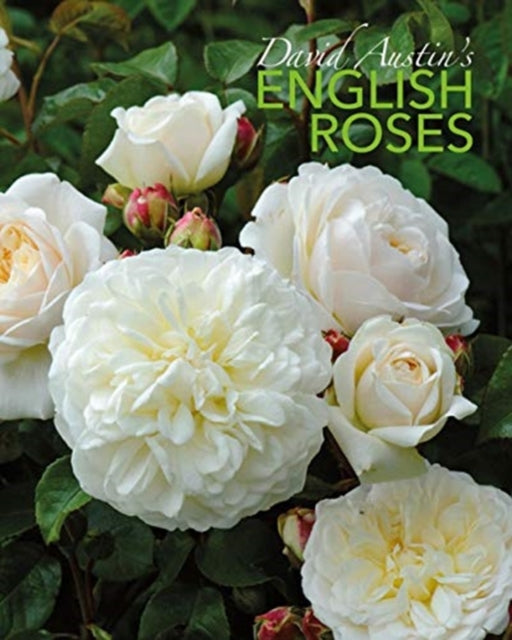 David Austin's English Roses-9781788840194