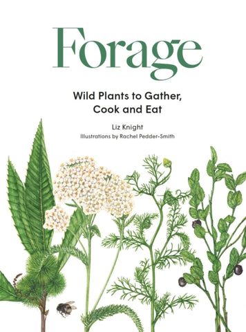 Forage : Wild plants to gather and eat