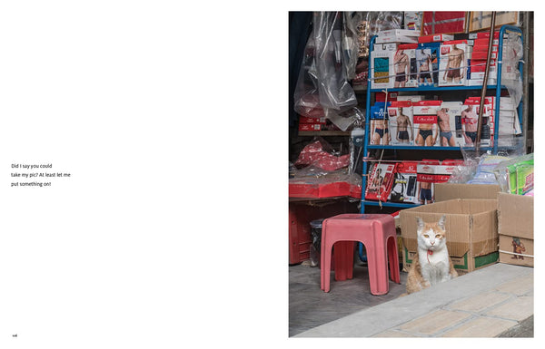 Shop Cats of China
