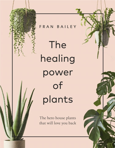 The Healing Power of Plants: The Hero House Plants that Love You Back